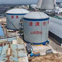 粉煤灰储存库  焦炭钢板仓生产厂家 山东国华 支持定制安装