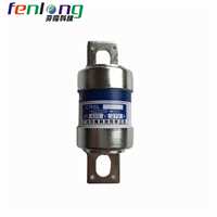 吉林RSG18L42-300V/60A螺栓式快速熔断器FENLONG品牌