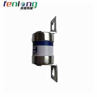 新疆JR36-300V/250A螺栓式快速熔断器FENLONG品牌