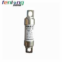 黑龙江RSG21L42-300V/80A螺栓式快速熔断器FENLONG品牌