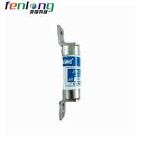 吉林JR32-300V/100A螺栓式快速熔断器FENLONG品牌