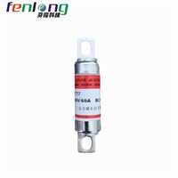 吉林RSG21L42-300V/80A螺栓式快速熔断器FENLONG品牌