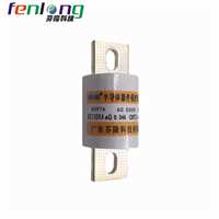 新疆RS97A-500V/600A新能源快速熔断器FENLONG芬隆品牌