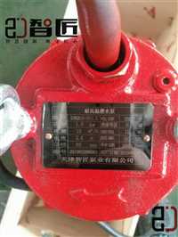 辽宁ZJ250WQ\QW潜污泵流量大排污泵