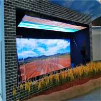 广西裸眼成像柜