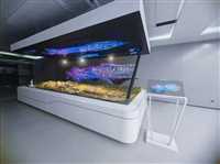 甘肃180度幻影成像安装服务