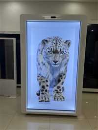 湖南全息舱全息仓数字人厂家定制