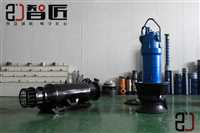 甘肃ZJ100QZB潜水轴流泵外形流畅防洪排涝