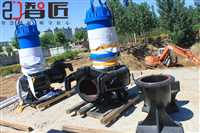安徽ZJ150WQ\QW潜水排污泵流量大干式潜水排污泵