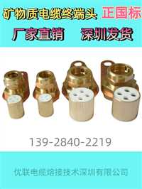 甘肃防火电缆集成分支器源头厂家  防火电缆分支器4*240+1*150