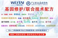 海南蓝铜修护精华美容美发护肤选品OEM免费打样