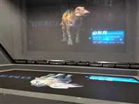 甘肃全息互动投影工厂