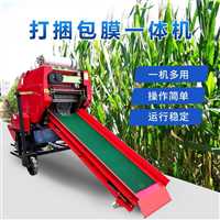 双缠膜打捆包膜机 自动套袋青贮饲料缠膜机  固定式自动进料裹包机