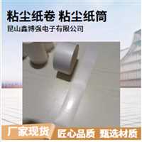 粘尘纸卷覆膜机除尘数字化广东