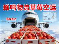 重庆草莓空运报价