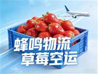 重庆草莓加急空运当天到