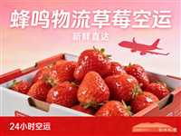 重庆草莓航空货运当天到
