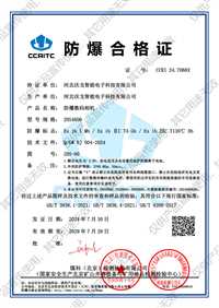 ZHS4800卡片式防爆相机支持256G内存存储