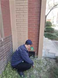 雅安雨城区除老鼠电话  消杀服务