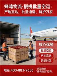 运城临猗樱桃到上海空运报价