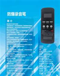 防爆标志ExibIICT4Gb防爆型录音笔YLY10