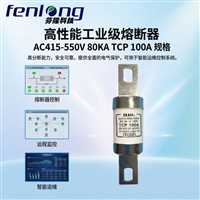 FENLONG芬隆NGT2-500V/200A电力保护低压熔断器源头工厂