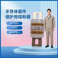 24小时内发货FENLONG芬隆品牌,广州低压熔断器低压熔断器全系列订购-急单优先