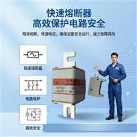 24小时内发货FENLONG芬隆低压熔断器低压熔断器,快速生产全系列订购-急单优先