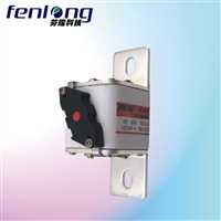 上海徐汇区订购新能源熔断器-非标熔断器-FENLONG芬隆