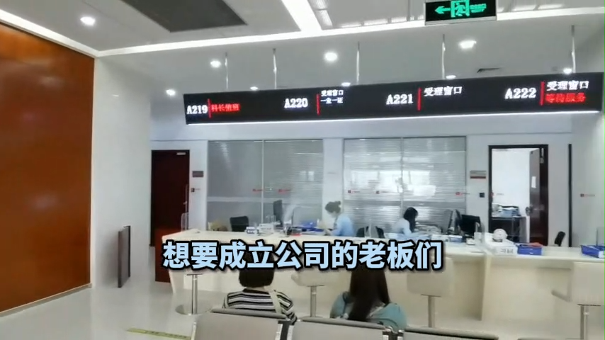 奉賢區(qū)營業(yè)執(zhí)照注銷 視頻