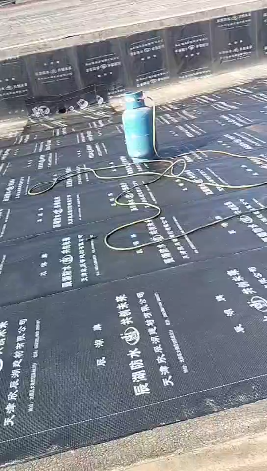 武清區(qū)防水補(bǔ)漏 鋪油氈 工程防水 樓頂防水 專業(yè)防水修繕 視頻