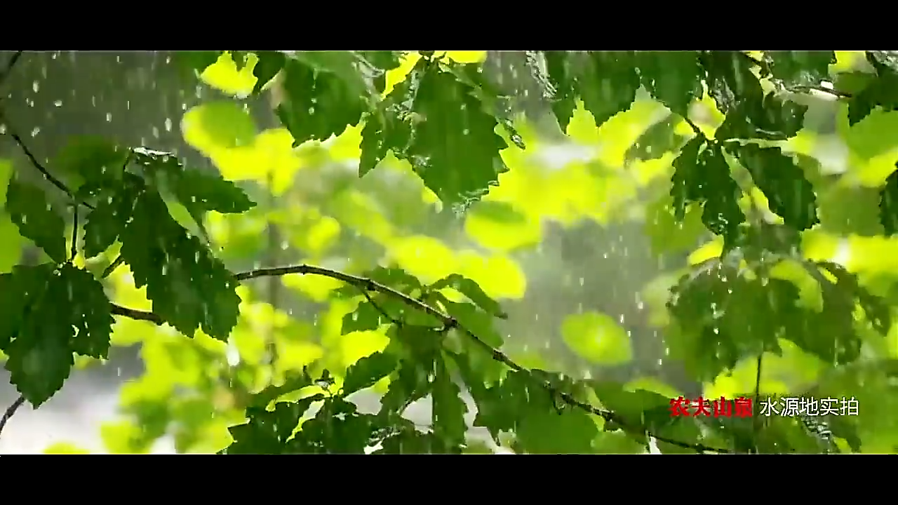 農(nóng)夫山泉小瓶水成都批發(fā)配送 視頻